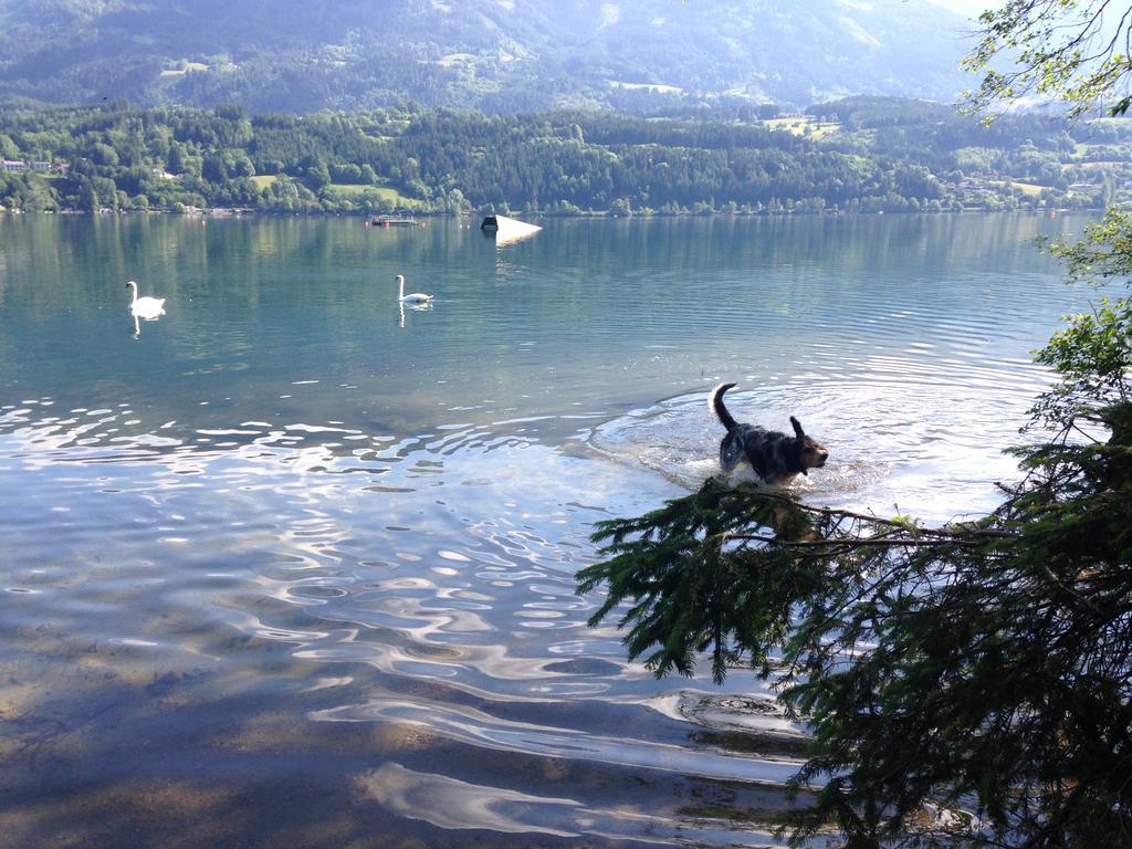 Ruhige Wohnung Mit Schoenem Eigengarten In Seeboden Am Millstaettersee Ruang foto