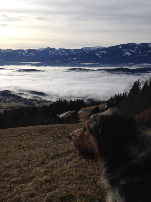 Ruhige Wohnung Mit Schoenem Eigengarten In Seeboden Am Millstaettersee Bagian luar foto