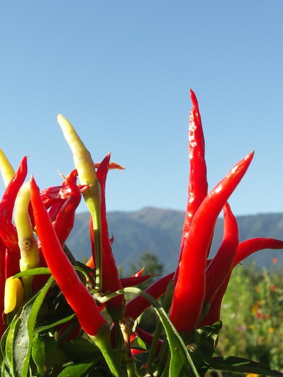 Ruhige Wohnung Mit Schoenem Eigengarten In Seeboden Am Millstaettersee Ruang foto
