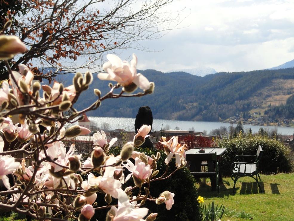 Ruhige Wohnung Mit Schoenem Eigengarten In Seeboden Am Millstaettersee Bagian luar foto